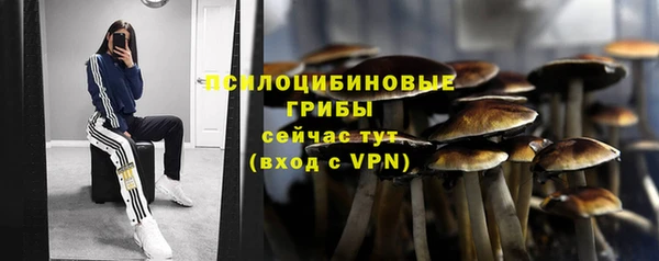 бошки Алексеевка