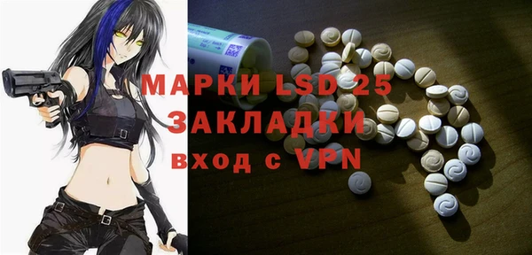 стаф Алексин