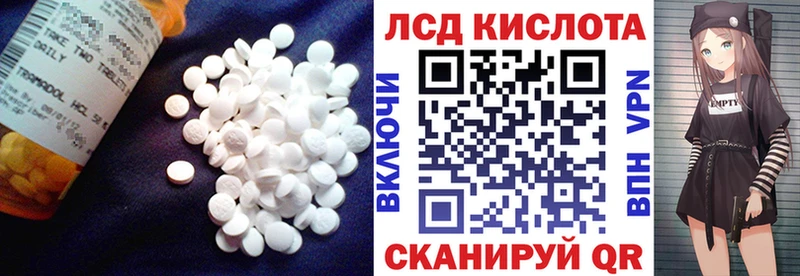 дарнет шоп  Андреаполь  Лсд 25 экстази кислота 