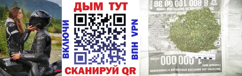 Бошки Шишки семена  Андреаполь 